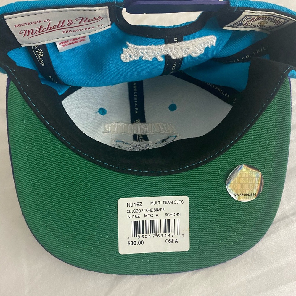 Charlotte Hornets Jordan Grape Fitted Snapback